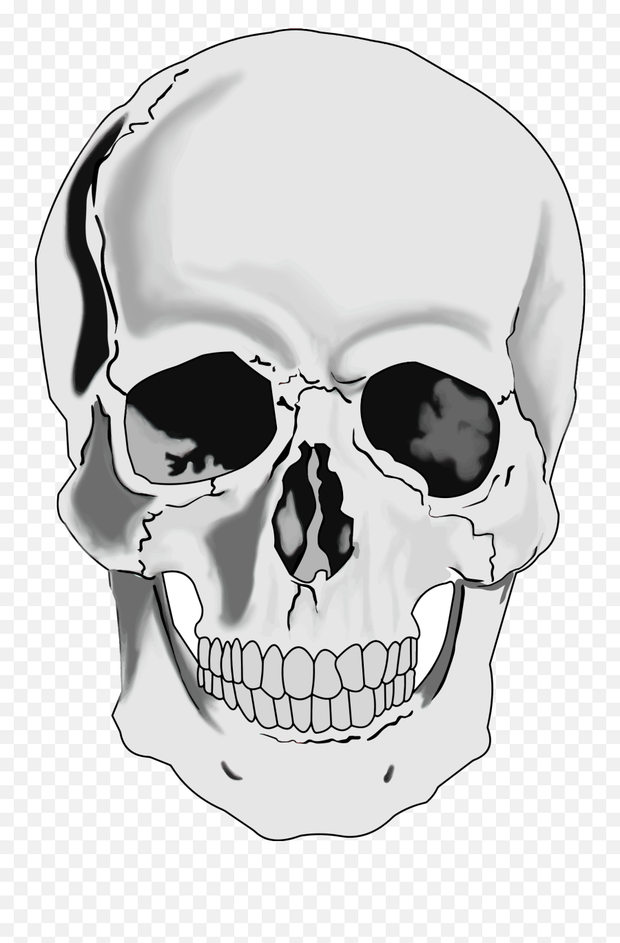 Download Skull Face Png - Realistic Skull Clip Art,Skull Face Png