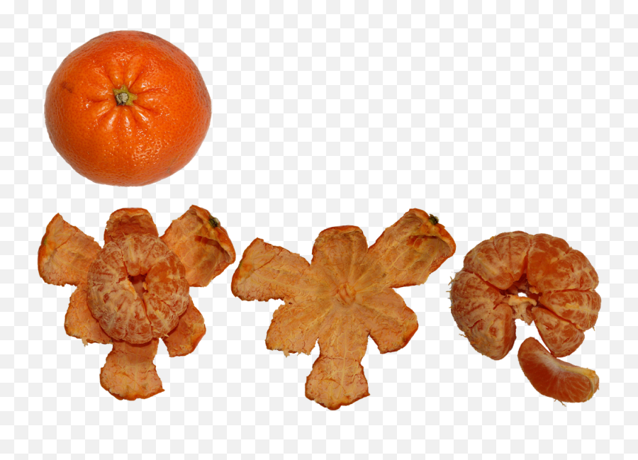 Fruit Citrus Png Healthy Fresh - Mandarin Orange,Citrus Png