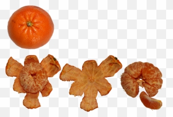 Fruit Citrus Png Healthy Fresh - Mandarin Orange,Citrus Png
