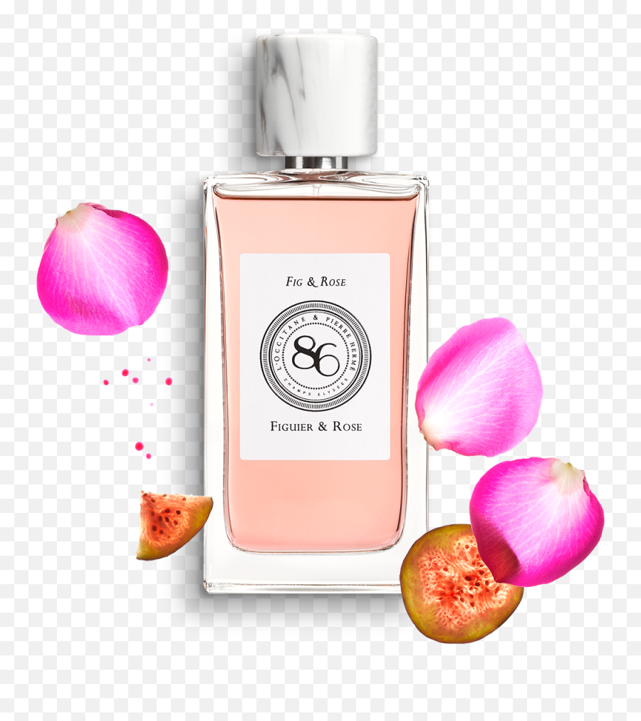 Fragrance Fig U0026 Rose Eau De Parfum Lu0027occitane - L Occitane Fig And Rose Png,Fig Png