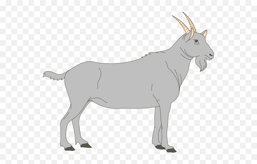 Goat Transparent Png Clipart Free - Digestive System Of A Goat,Goats Png