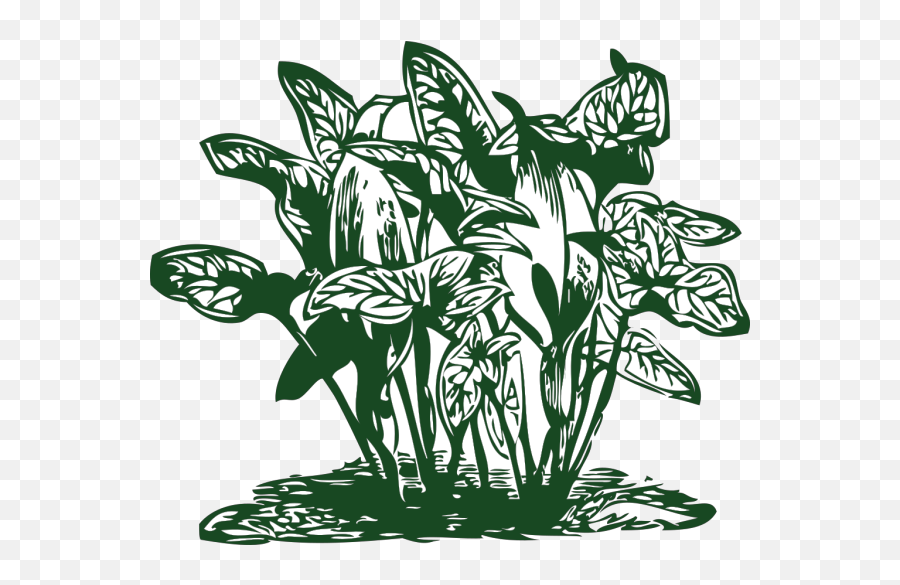 Tropical Plants Png Svg Clip Art For - Vegetation Clipart,Plant Icon Image Clip Art