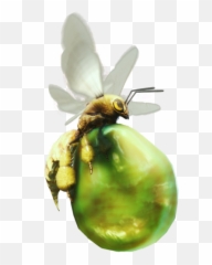 User Blogbannedlagiacrusdiscussion Of The Week Endemic - Mhw Vigorwasp png
