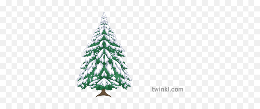 Alpine Tree Maths Snow Winter Secondary Illustration - Twinkl Transparent Alpine Tree Png,Snowy Trees Png
