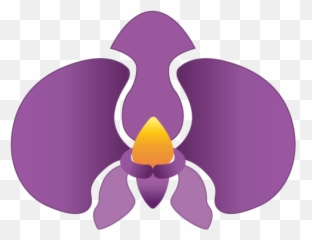 Cupping - Thai Royal Orchid Massage Moth Orchids png