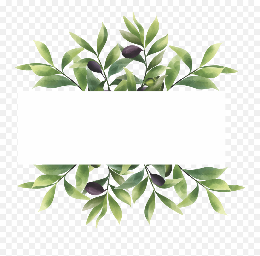 Watercolor Style Olive Leaf Frame With Space For Text - Houseplant Png,Watercolor Sunflower Png