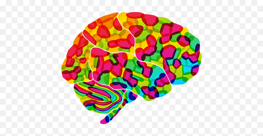 Psychology Brain Png Transparent - Transparent Background Colorful Brain Clipart,Brain Transparent Background