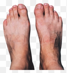 Picture Transparent Background Png - Feet