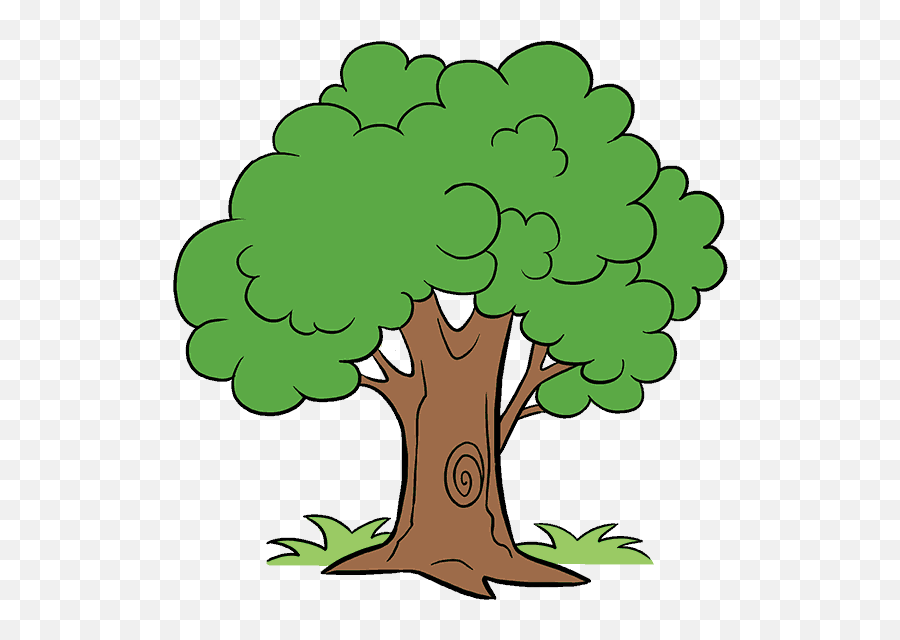 Png How To Draw A Cartoon Tree - Tree In Cartoon,Cartoon Tree Png