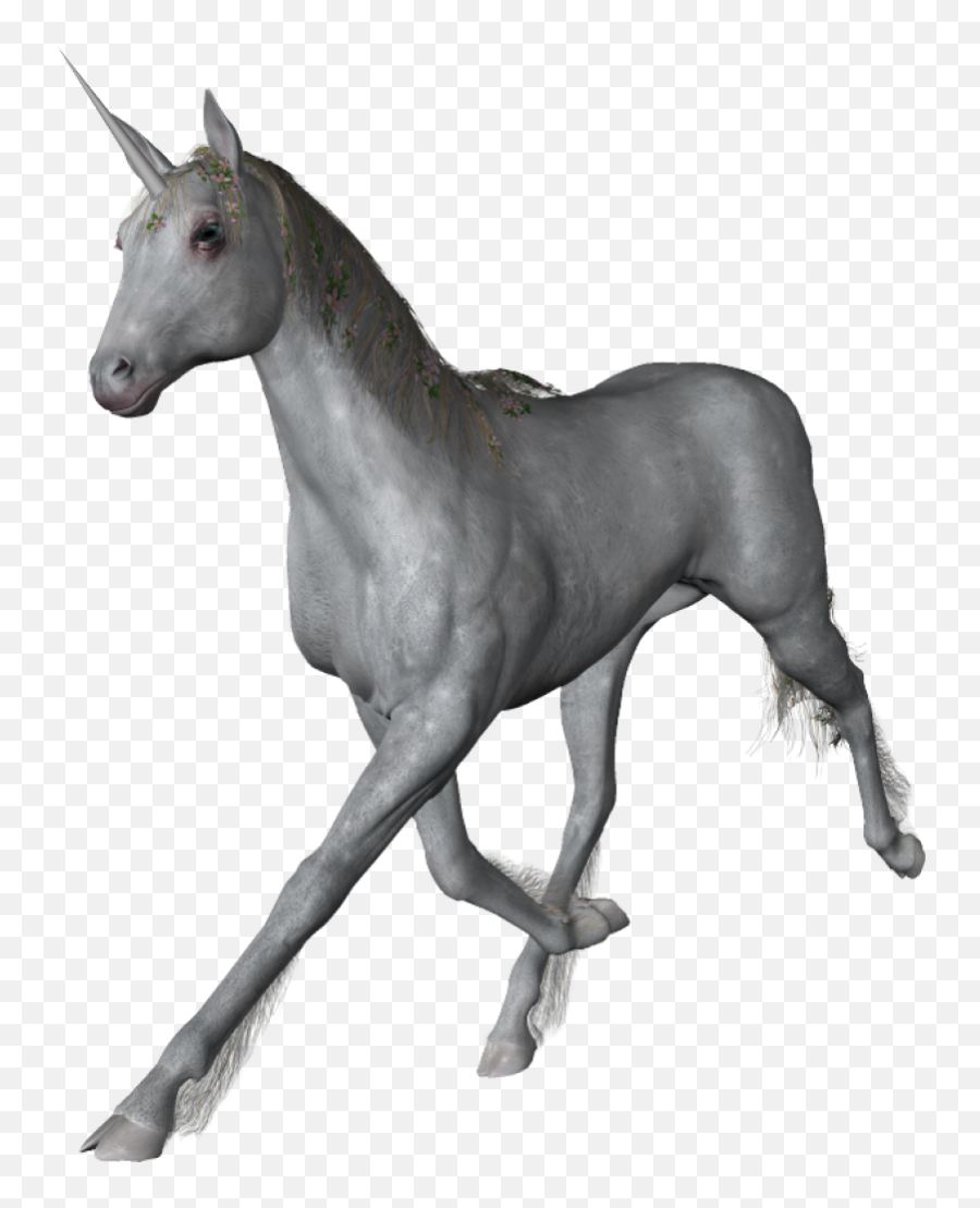 Unicorn Png Image - Purepng Free Transparent Cc0 Png Image Horse,Free Unicorn Png
