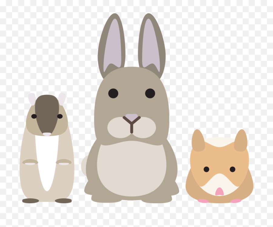 Puppy Clipart Png - Small Animal Products Small Animal Clipart Pets Png,Puppy Clipart Png