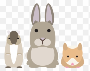 Puppy Clipart Png - Small Animal Products Small Animal Clipart Pets Png,Puppy Clipart Png