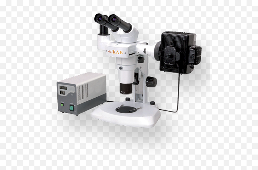 Stereo Microscopes - Microscope Png,Microscope Transparent