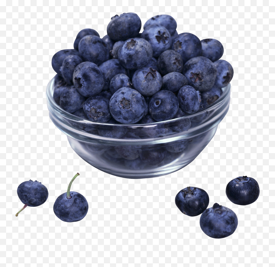 Download Blueberries Png Image For Free - Bowl Of Blueberries Png,Blueberries Png