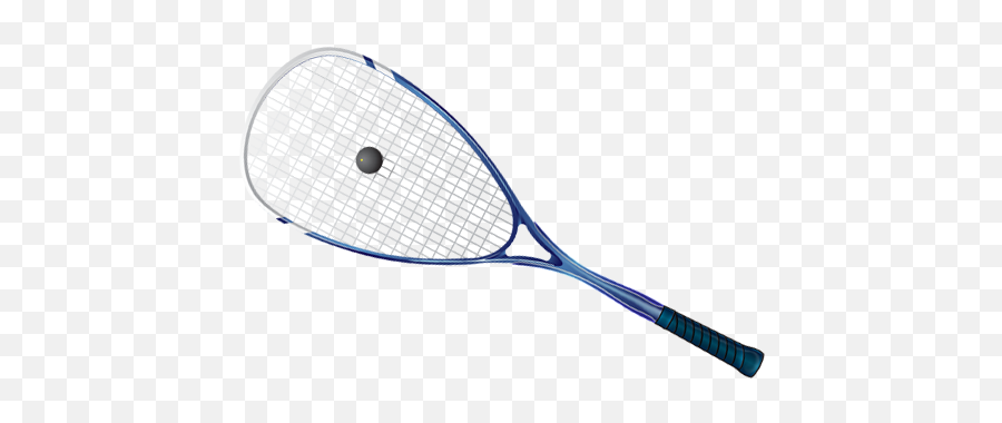 Play Squash In Christchurch Mt Pleasant Club U0026 Courts - Tennis Racket Png,Squash Png