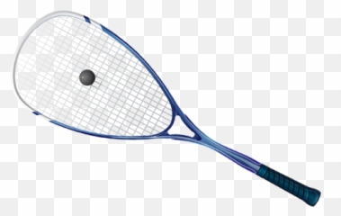 Play Squash In Christchurch Mt Pleasant Club U0026 Courts - Tennis Racket Png,Squash Png