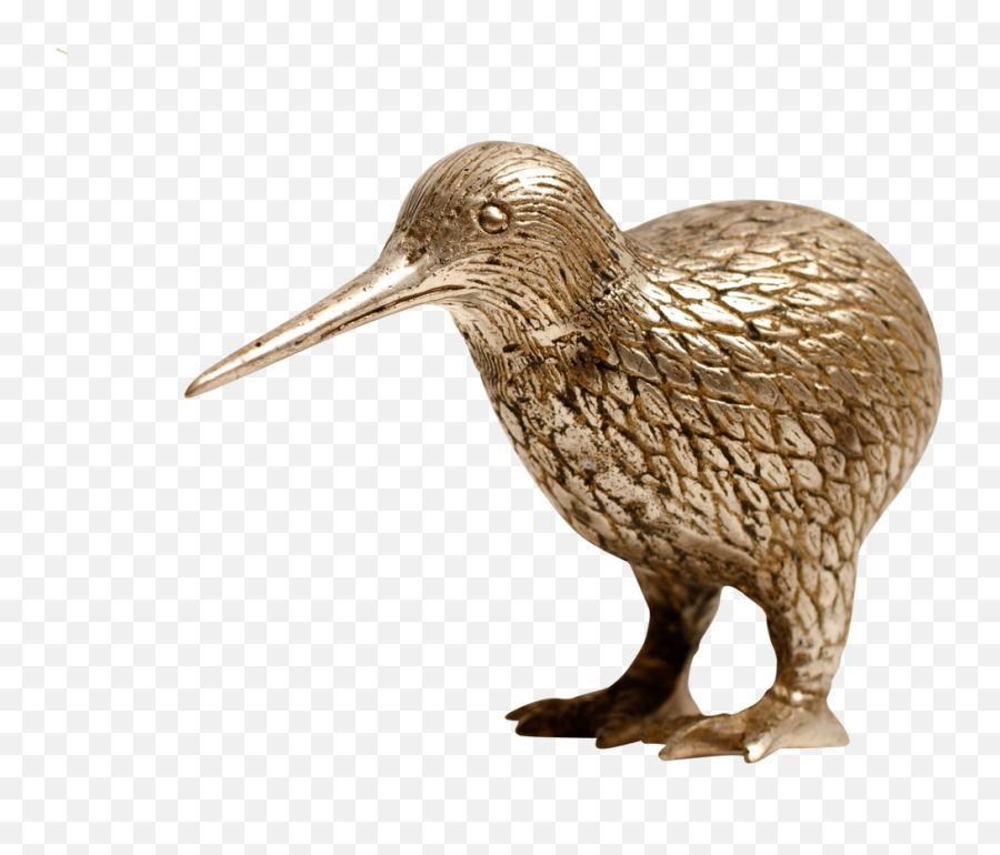 Download Gold Silver Kiwi - Gold Kiwi Animal Transparent Dowitcher Png,Kiwi Transparent