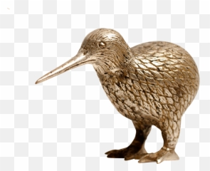 Download Gold Silver Kiwi - Gold Kiwi Animal Transparent Dowitcher Png,Kiwi Transparent