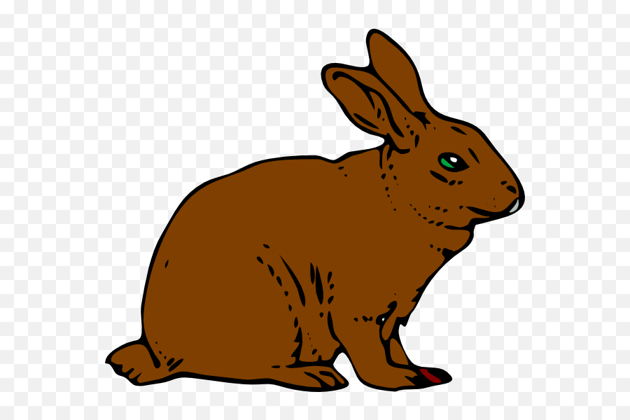 Library Of Brown Rabbit Picture Freeuse - Rabbit Clipart Png,Rabbit Clipart Png