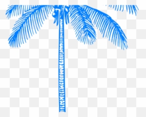 Palm Tree Clip Art Png - Palm Tree Clipart Curved Teal Coconut Art