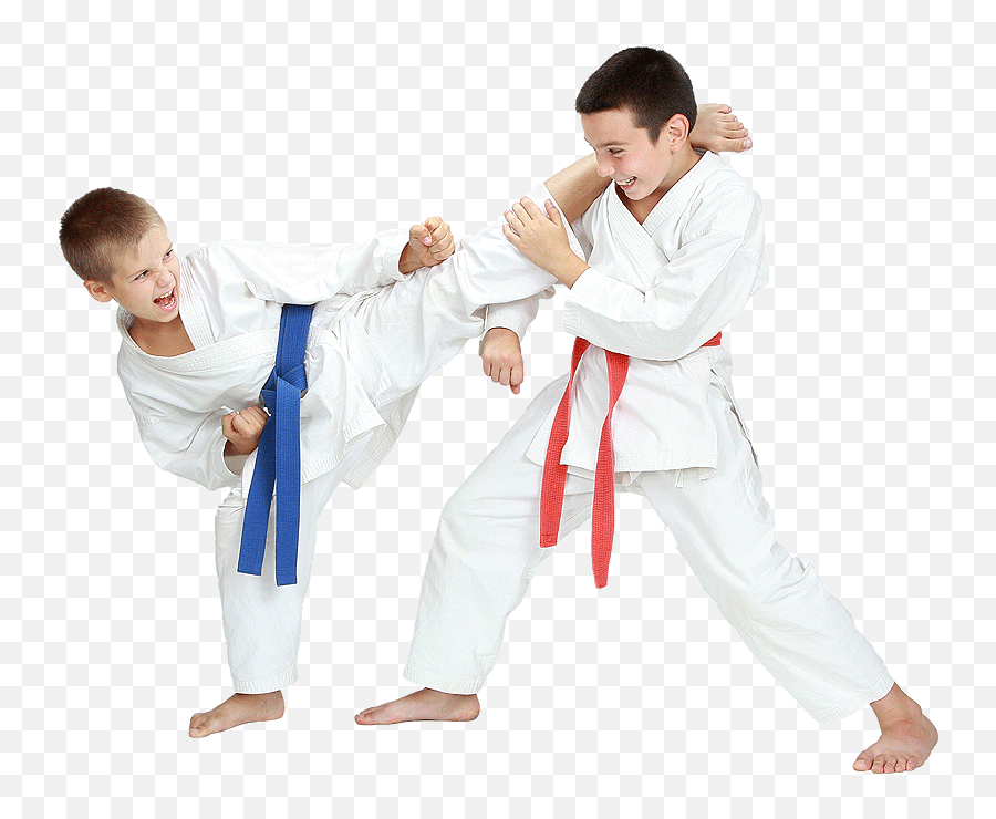 Martial Arts Newport Gwent - Martial Arts Kids Png,Martial Arts Png