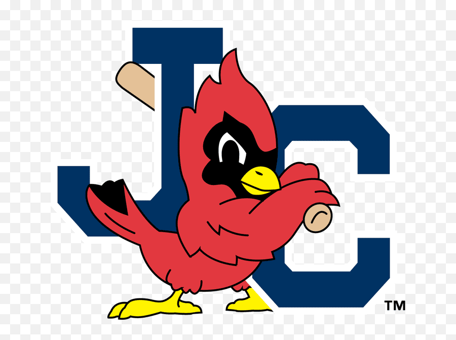 The Birdist Grading Bird - Themed Minor League Baseball Teams Johnson City Cardinals Logo Png,Bird Logos
