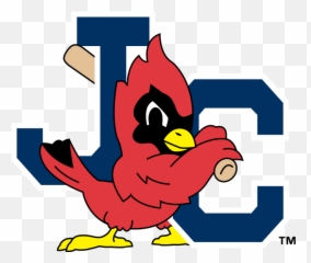 The Birdist Grading Bird - Themed Minor League Baseball Teams Johnson City Cardinals Logo Png,Bird Logos