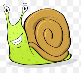 The Argonaut U2013 A Fresh Look - Washington State Invertebrate Mollusk Png,Snail Transparent