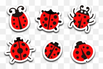 Ladybug Png Transparent U0026 Clipart Free Download - Ywd Ladybug Art,Ladybug Png