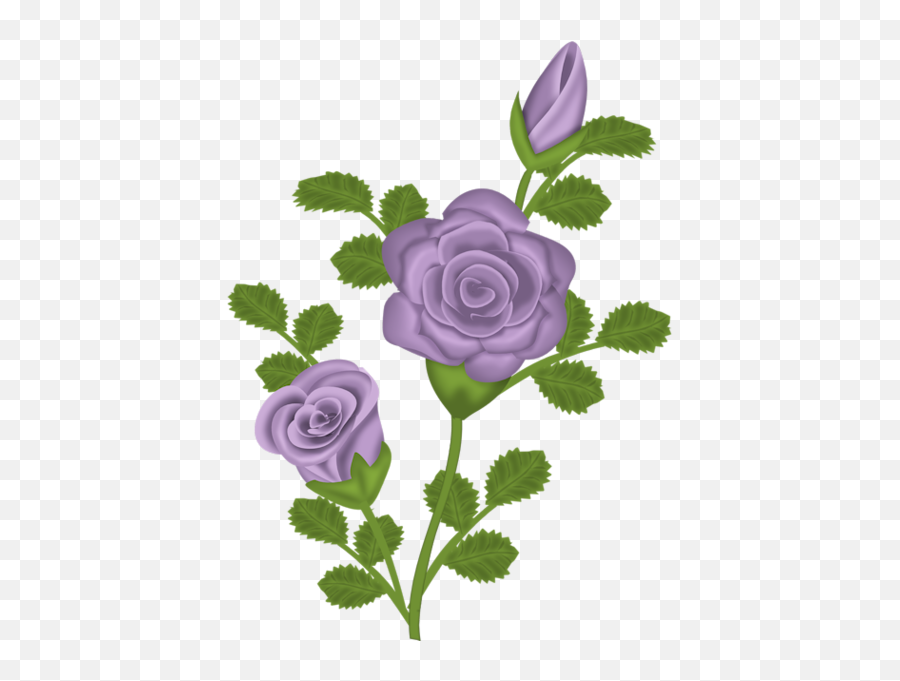 Lavender Clipart Rose Picture 1633270 - Happy New Month September Prayer Png,Purple Roses Png
