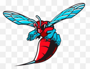 Delaware State Hornets Logo - Delaware State Hornets Png,Hornet Png