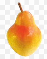 Pears Png Download Foto - Pear,Pears Png