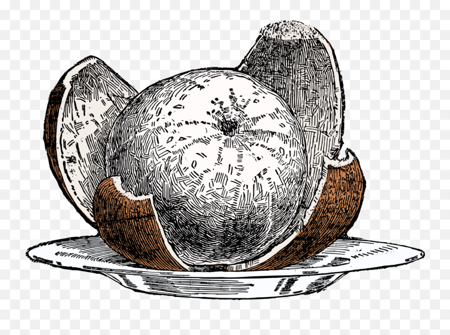 Planttreesphere Png Clipart - Royalty Free Svg Png Peeled Orange Drawing,Nazi Png