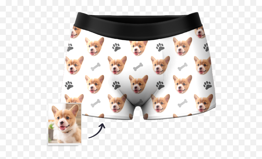 Pembroke Welsh Corgi Png Image - Personalizada De Ropa Interior,Corgi Png