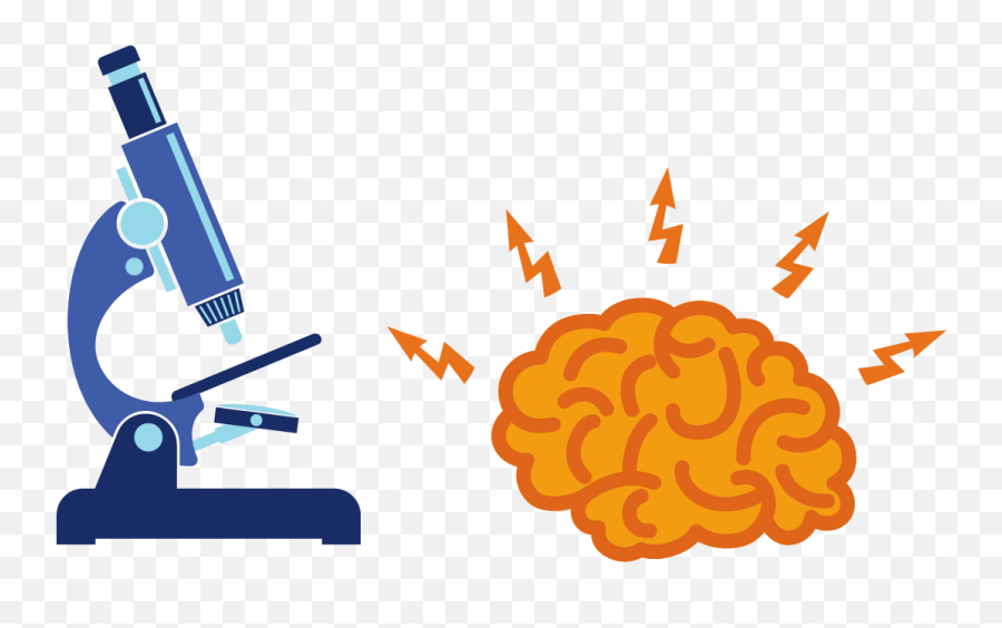 Download Brain Png Icon - Brain Under Microscope Cartoon Png Cartoon Brain Icon Png,Cartoon Brain Png