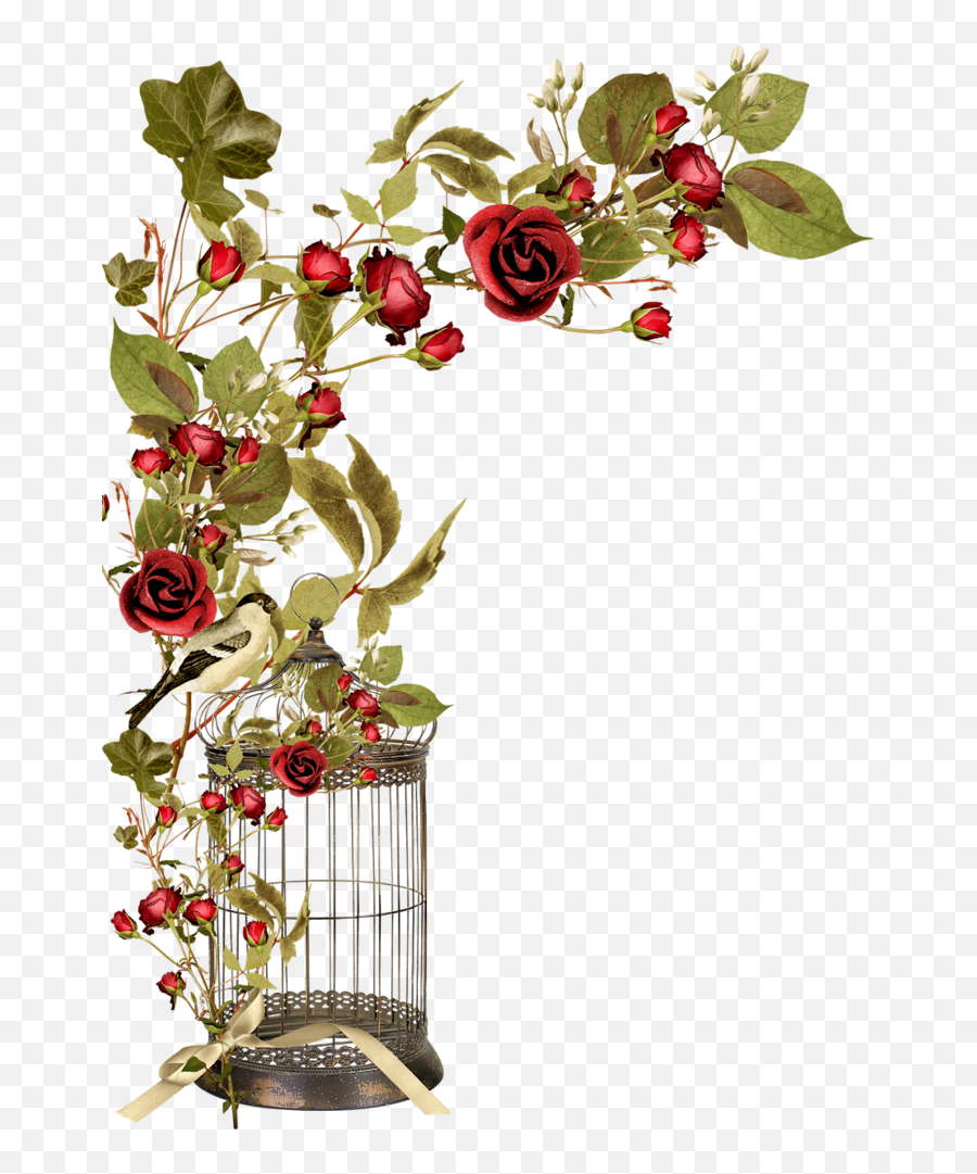 Borders Cantoneiras Cluster - Jaula Con Rosas En Png Bird Cage Flowers,Rosas Png
