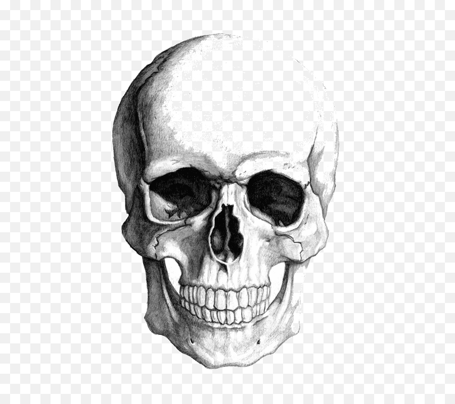 Skull Face Drawing Png Image - Realistic Drawings Of Skulls,Skull Face Png