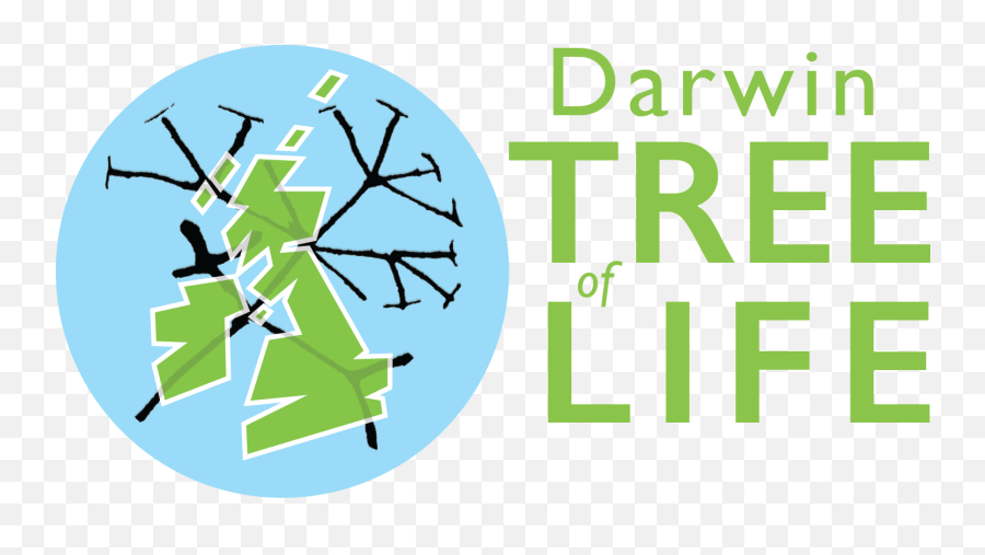 Darwin Tree Of Life Project - Darwin Tree Of Life Project Png,Tree Of Life Logo