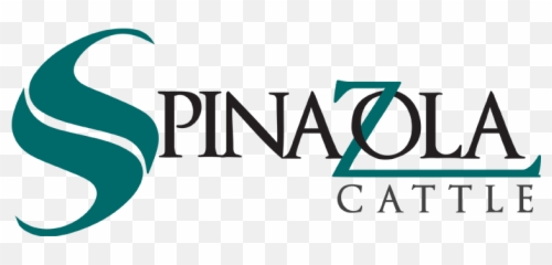 Logo Design - Vertical Png,Cattle Brand Logo