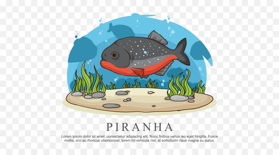 Download Piranha Vector Illustration - Illustration Png,Piranha Png