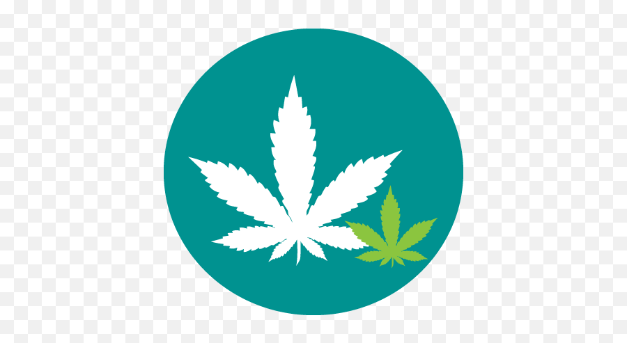 Cannabis - North Bay Parry Sound District Health Unit Marijuana Leaf Png,Marijuana Leaf Transparent