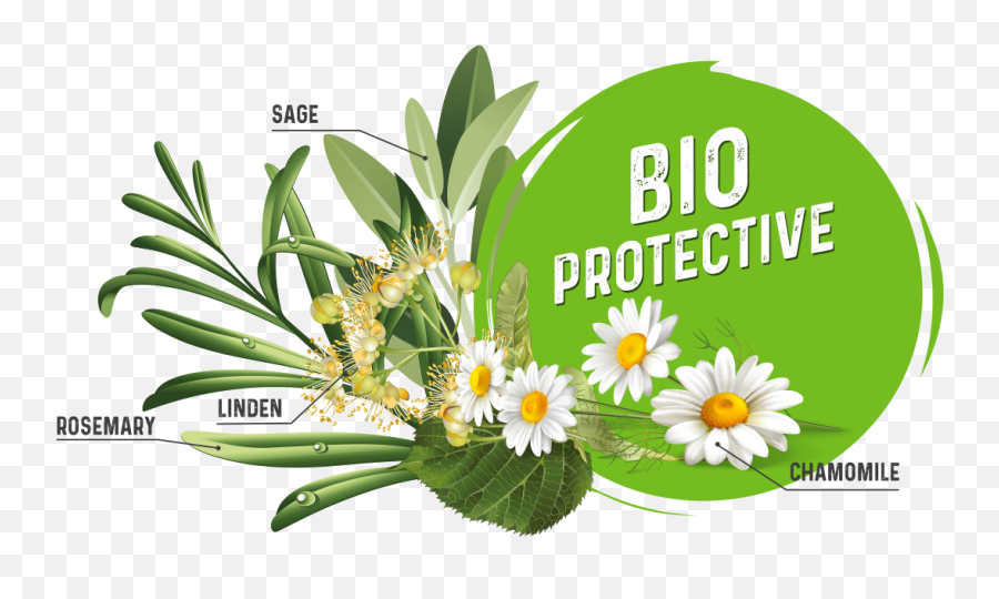 Bio Protective - Lovely Png,Natural Ingredients Icon