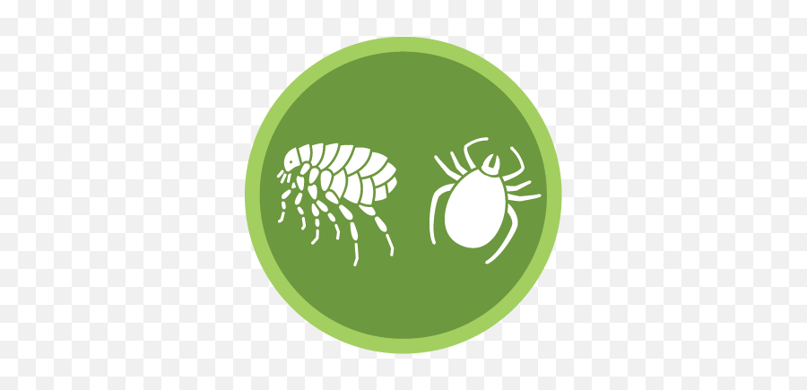 Green Pest Services U2014 Control With Guys - Parasitism Png,Flea Icon