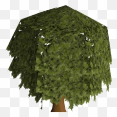 Oak Tree Construction Old School Runescape Wiki Fandom - Tree png