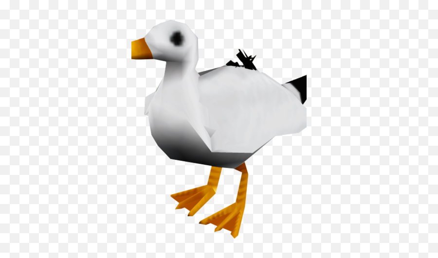Seagull Ashdale Runescape Wiki Fandom - Duck Png,Seagull Png