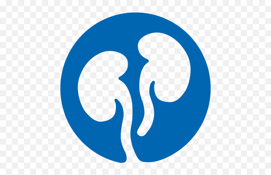 Cookie Policy Our Website Uses Cookies To Make Your - Language Png,Nephrology Icon