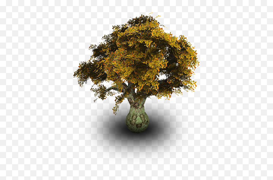 Old Tree Psd Official Psds - Tree Icon Png,Old Tree Png