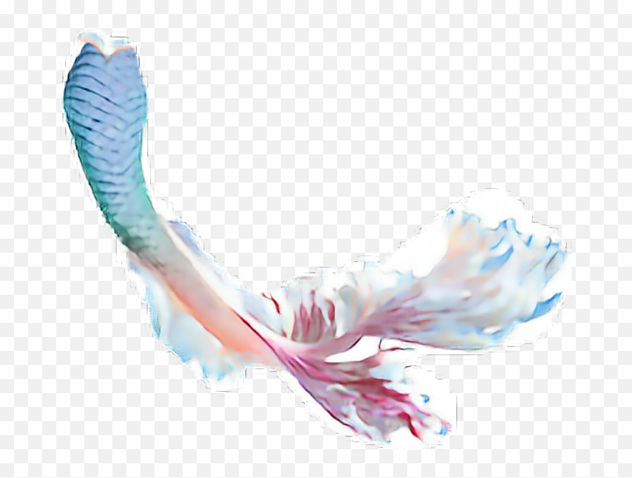 Mermaid Tail Transparent Background - Transparent Background Mermaid Tail Transparent Png,Mermaid Tail Png