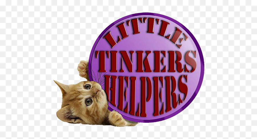 Little Tinkers Helpers Blackburn Cat Adoptions - Cute Ginger Kittens Png,Cats Transparent