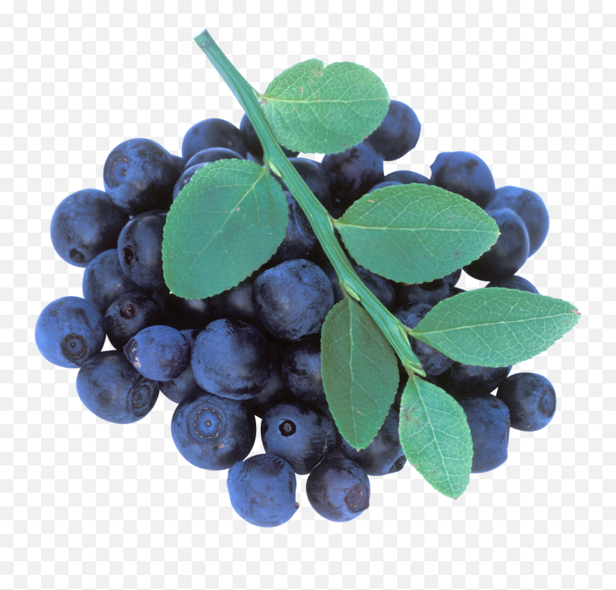Blueberries Png Image - Blueberry,Blueberries Png